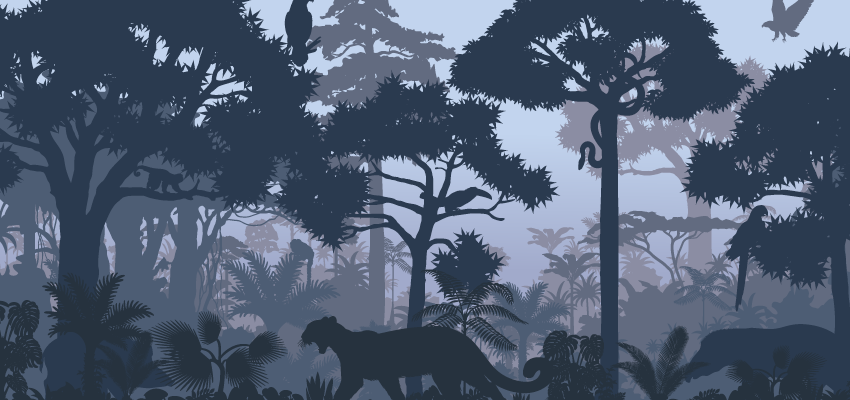 6 Fascinating Animal Facts: Hearing Edition